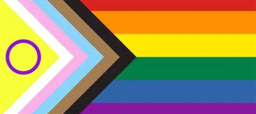 Pride progressive flag