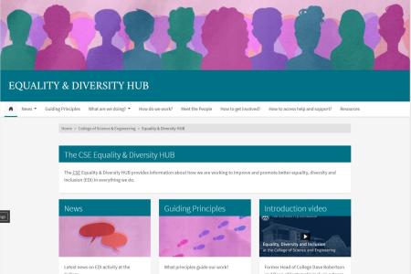 Screenshot of the CSE EDI Hub webpage