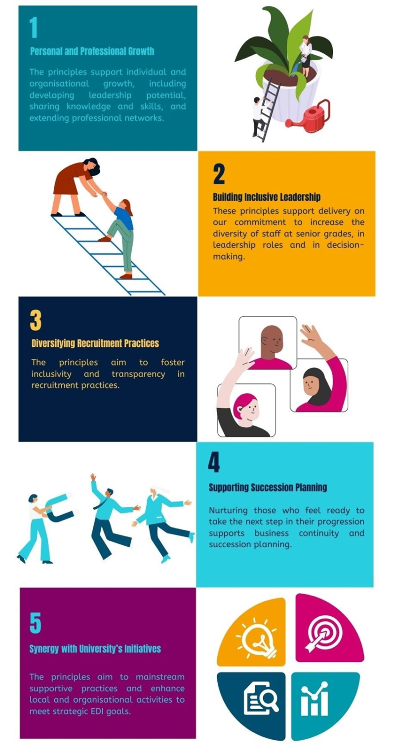 Interview Shadowing infographic showing stages of how principles bring change